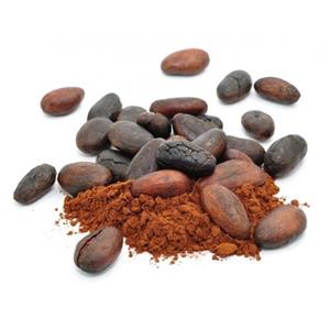 Flavours concentrates » Flavourart flavour concentrates »  » Flavour concentrate Cocoa flavourart