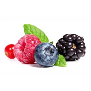 Flavours concentrates » Flavourart flavour concentrates »  » Flavour concentrate Forest Fruit flavourart